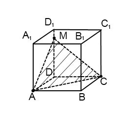 Как построить плоскость параллельную прямой в кубе