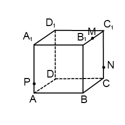 Как построить плоскость параллельную прямой в кубе